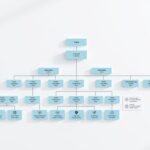 Organigramm